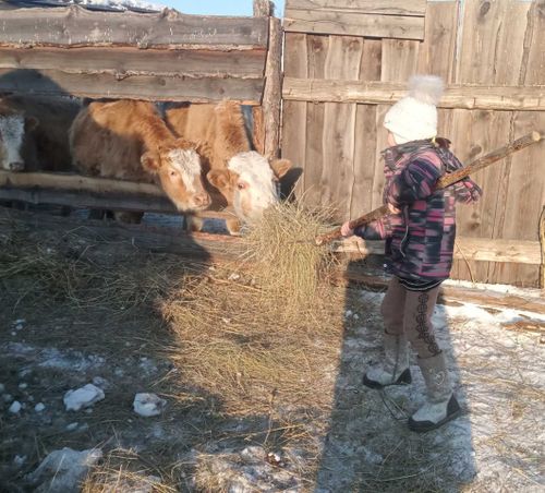 Чеди ажы-төлдүг өг-бүлениң хууда дузалал ажыл-агыйы