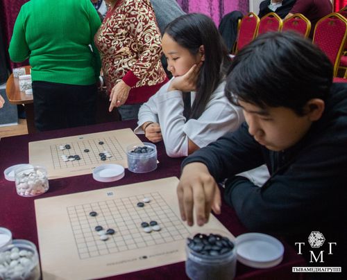 В Туве состоится первый Международный турнир и фестиваль по игре го «Найыр кочевников»