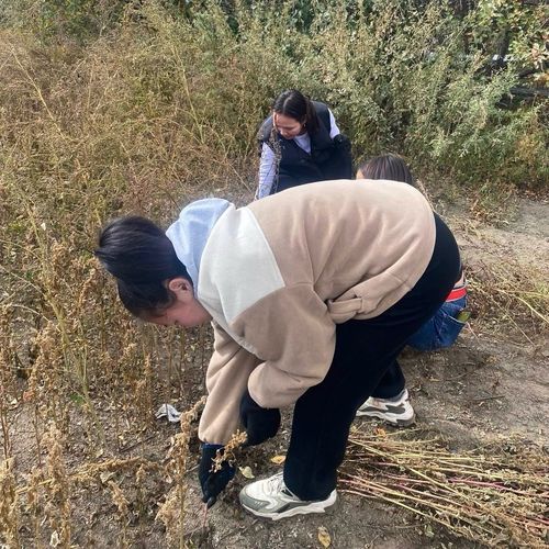 «Добрые сердца Тувы» оказали помощь ветерану здравоохранения