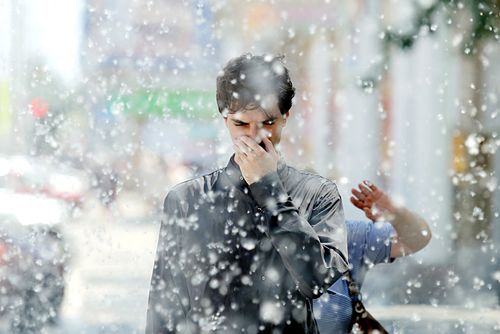 Кызыл накрыло тополиным пухом: как защититься аллергику