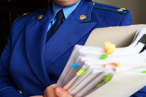 В Туве прокуратура защитила права матери 6 детей