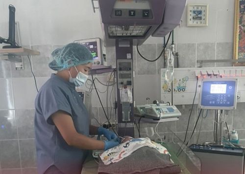 Перинатальный центр Тувы одним из первых получил новый аппарат для выхаживания новорождённых