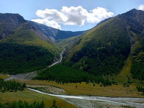 Госинспекторы провели 17 рейдов по охране объектов животного мира за прошедшую неделю