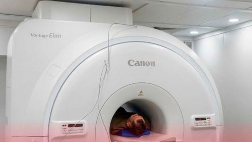 Более 2900 жителей Тувы прошли МРТ-диагностику в РКДЦ с начала года