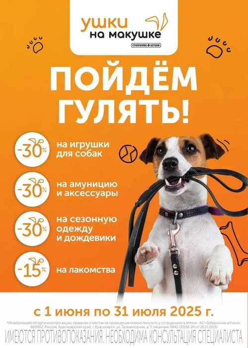 «Какая хорошая погода! Пойдем гулять?»