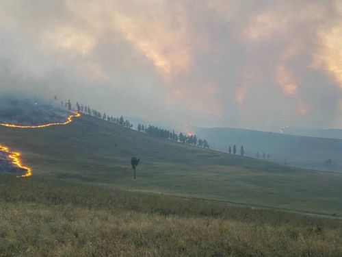 Две чабанские стоянки защищены от степного пожара в Каа-Хемском районе