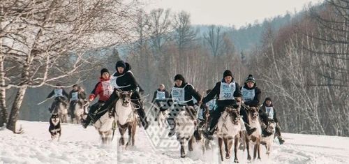 Тывага Ивижилер фестивалы чаңчыл езугаар болуп эртер
