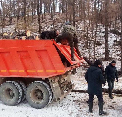 Чээрби бир хамаатының өг-бүлезинге оттулар ыяшты белеткээн