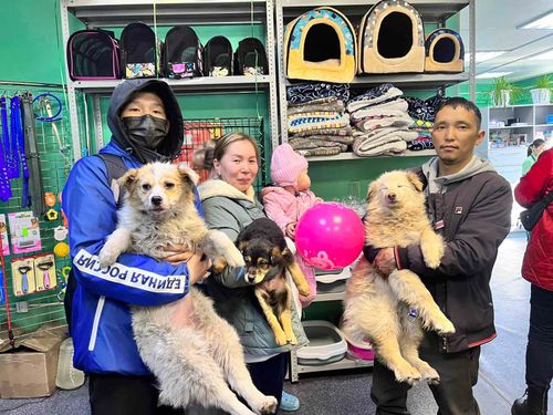 В Кызыле прошла ярмарка-раздача бездомных животных
