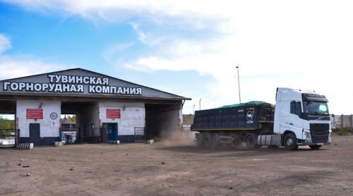 Тывада чурттакчы чонга садар хөмүрге чаа өртекти доктааткан