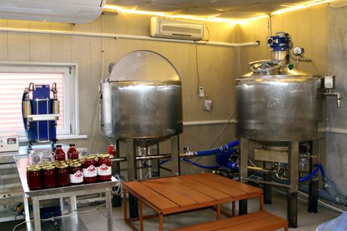 В Кызыле работает цех по приему и переработке дикоросов