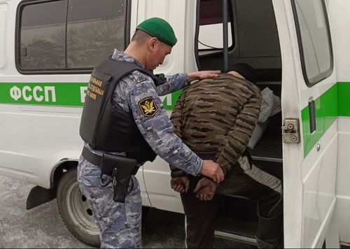 Судебные приставы республики выдворили из Тувы трех иностранных граждан