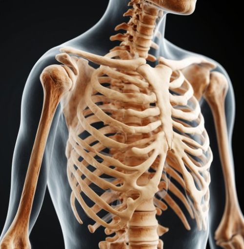 В России стартовала Неделя профилактики остеопороза