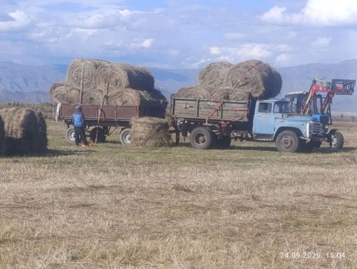 Улуг‑Хемский район: кормозаготовительная кампания завершена с превышением плана