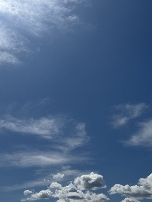 МЧС предупреждает жителей Тувы о сильной жаре 11 июля: рекомендации по защите здоровья