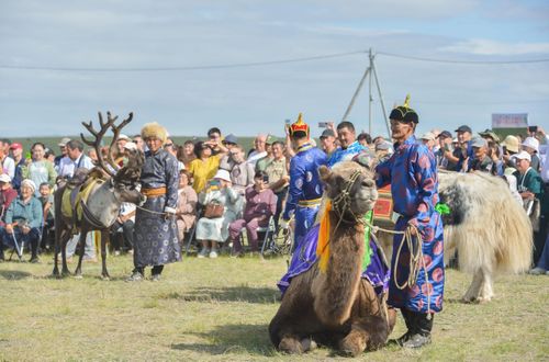 В Туве прогремел большой праздник животноводов «Наадым-2024»