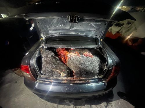 Нет большей беды, чем плохие соседи