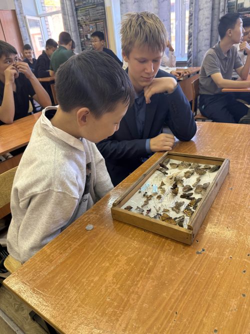 Школьникам Кызыла рассказали, какую профессию нужно выбрать, чтобы стать защитником лесов