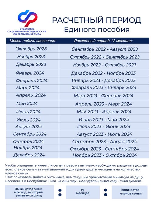 Когда жителям Тувы лучше подать новое заявление на единое пособие