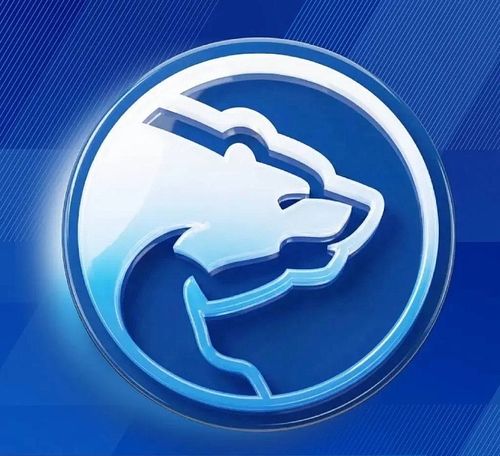 Тывада «Чаңгыс демниг Россия» партияның Улусчу программазынга санал-оналдар чыылдазы эгелээн