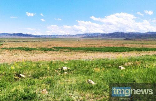 Посевные работы в Чаа-Хольском районе