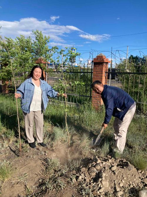 На территории Республиканской больницы №1 посадили деревья