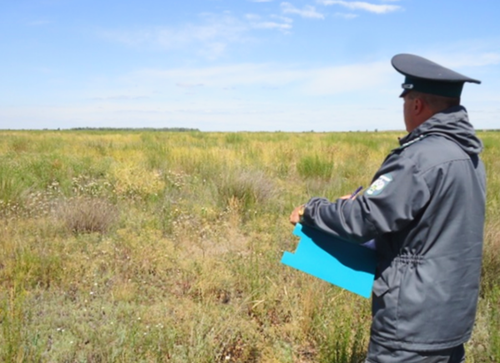 Россельхознадзор: зарастание сельскохозяйственных земель недопустимо