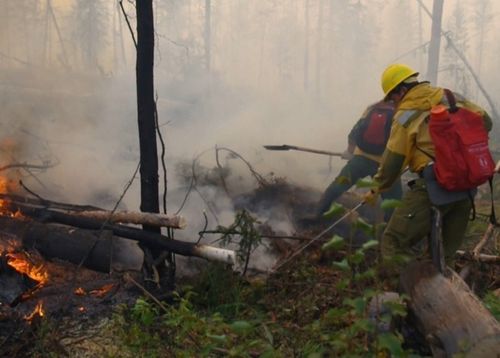 В Туве за сутки ликвидировано два лесных пожара на площади 5528 га