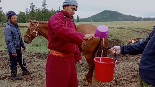 Ланаа Дагба: «Кумыс – полезный и лечебный напиток наших предков»