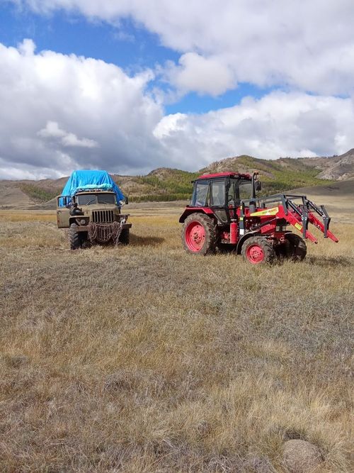 В Эрзинском районе продолжают заготовку кормов для скота