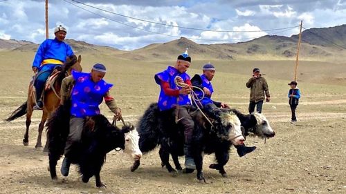 В Монгун-Тайгинском районе Тувы пройдет фестиваль яководов