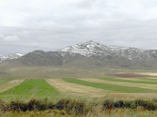 Фермер из Тувы Айбек Монгуш получил страховую компенсацию за утраченный урожай от засухи