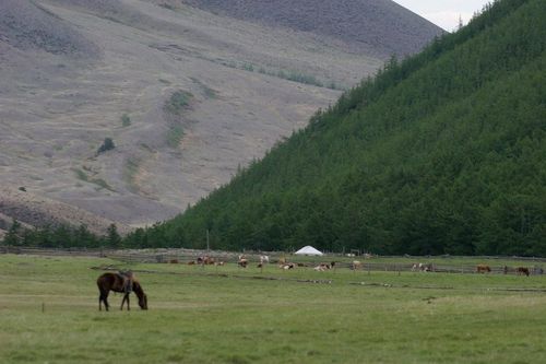 «…Девять видов скота выращу я, сыт и одет буду я»