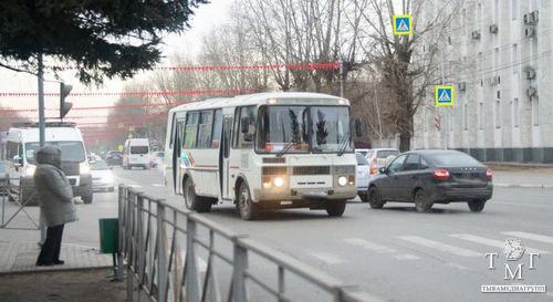 Для желающих встретить Шагаа запустят дополнительные рейсы автобусов