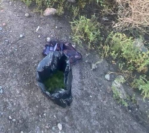 В Кызыле задержали мужчину с крупной партией марихуаны