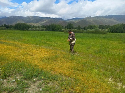 В Сут-Хольском районе выявлены нарушения карантинного режима