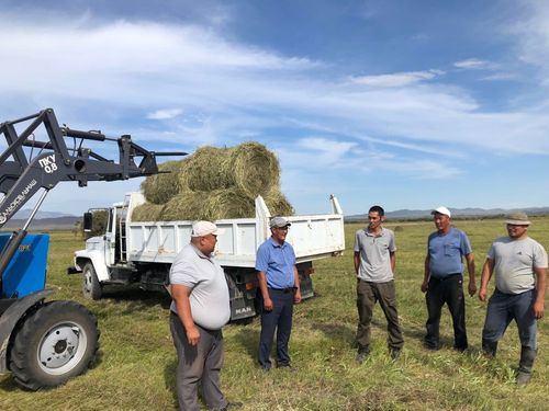 В Улуг-Хемском районе полным ходом идёт кормозаготовка