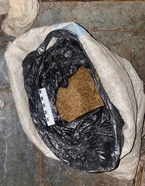 В Туве у местного жителя нашли около килограмма марихуаны