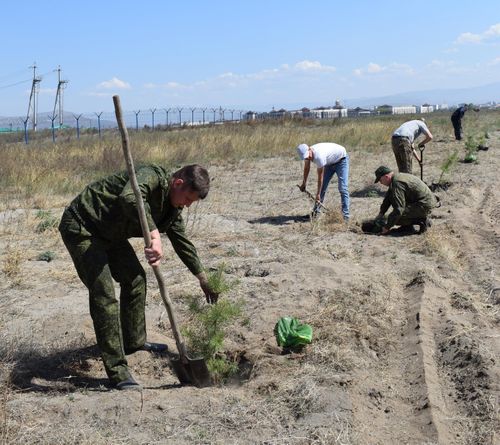 В воинской части Кызыла появилась новая аллея