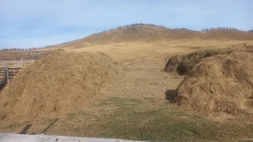 В Каа-Хемском районе проверили степень готовности к зиме чабанских стоянок
