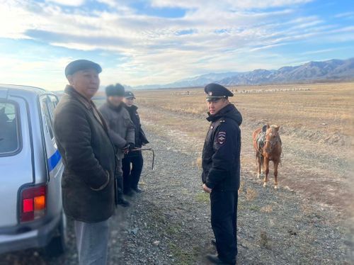 В Улуг-Хемском районе проведен рейд по выявлению нарушений правил выпаса животных