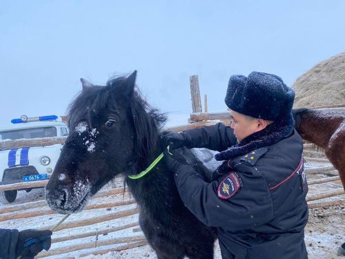 Сотрудники Госавтоинспекции посетили чабанские стоянки Тандинского района