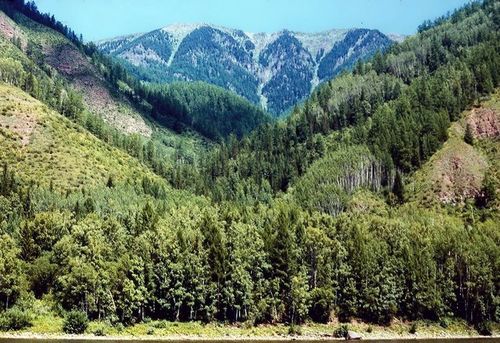 В Туве ликвидированы «Аянгатинский» и «Шеминский» природные заказники