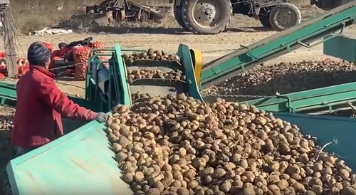 В хозяйствах Тувы продолжается уборка урожая