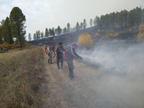 Информация о лесопожарной обстановке на территории лесного фонда Республики Тыва, по данным Региональной диспетчерской службы