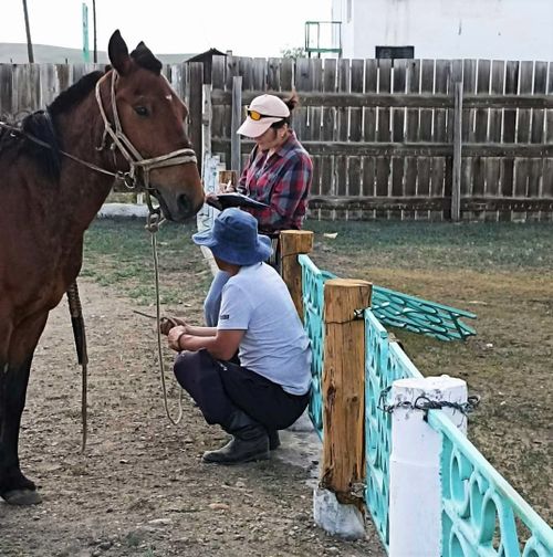 Ученые ТИГПИ продолжают рабочие командировки по изучению проблем коренных малочисленных народов