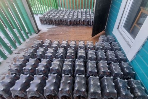 Үжен ийи муң литр арага аймаан хавырган