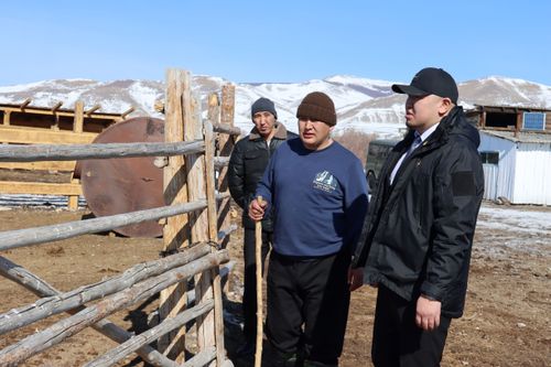 Профильный комитет Верховного Хурала встретился с животноводами Овюрского района