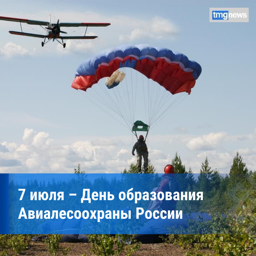 Сегодня отмечается День образования Авиалесоохраны