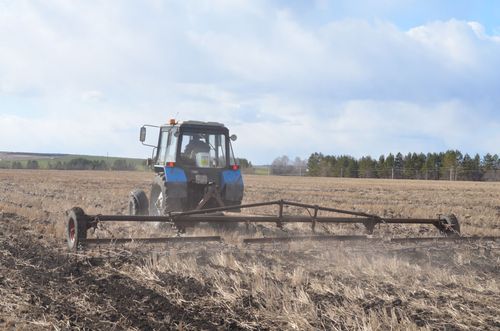В Туве засеяли 2,9 тысячи гектаров земли
